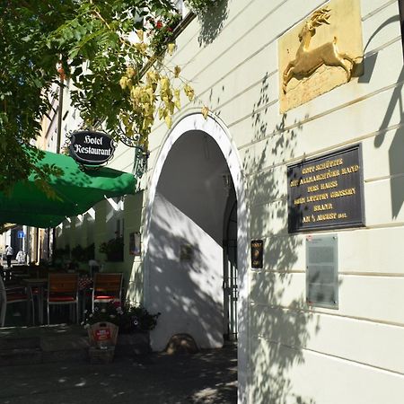 Akzent Hotel Goldner Hirsch Kamenz Dış mekan fotoğraf